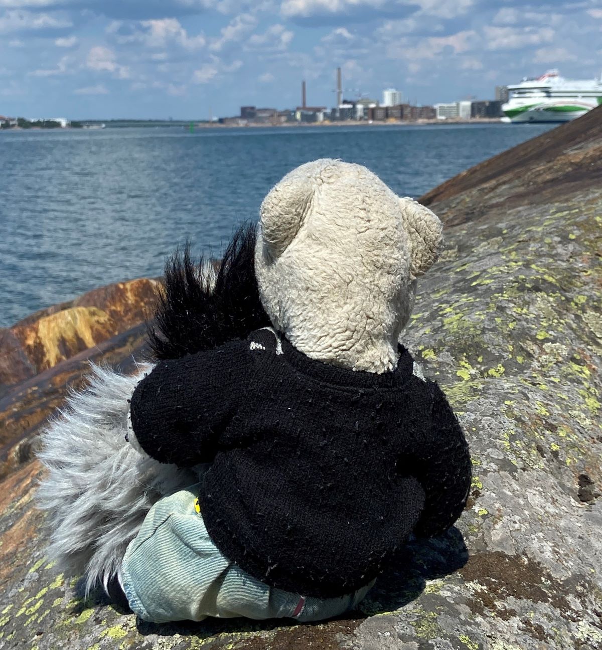 Valkoinen nalle jolla musta takki päällä istuu kalliolla ja katselee meren yli horisonttiin. Vironlaiva on taustalla.
